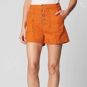 NWT BLANKNYC Firecracker Shorts in Size 30